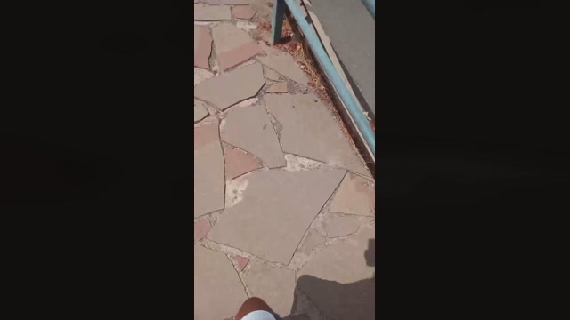 kinkis_amos  15-08-2022